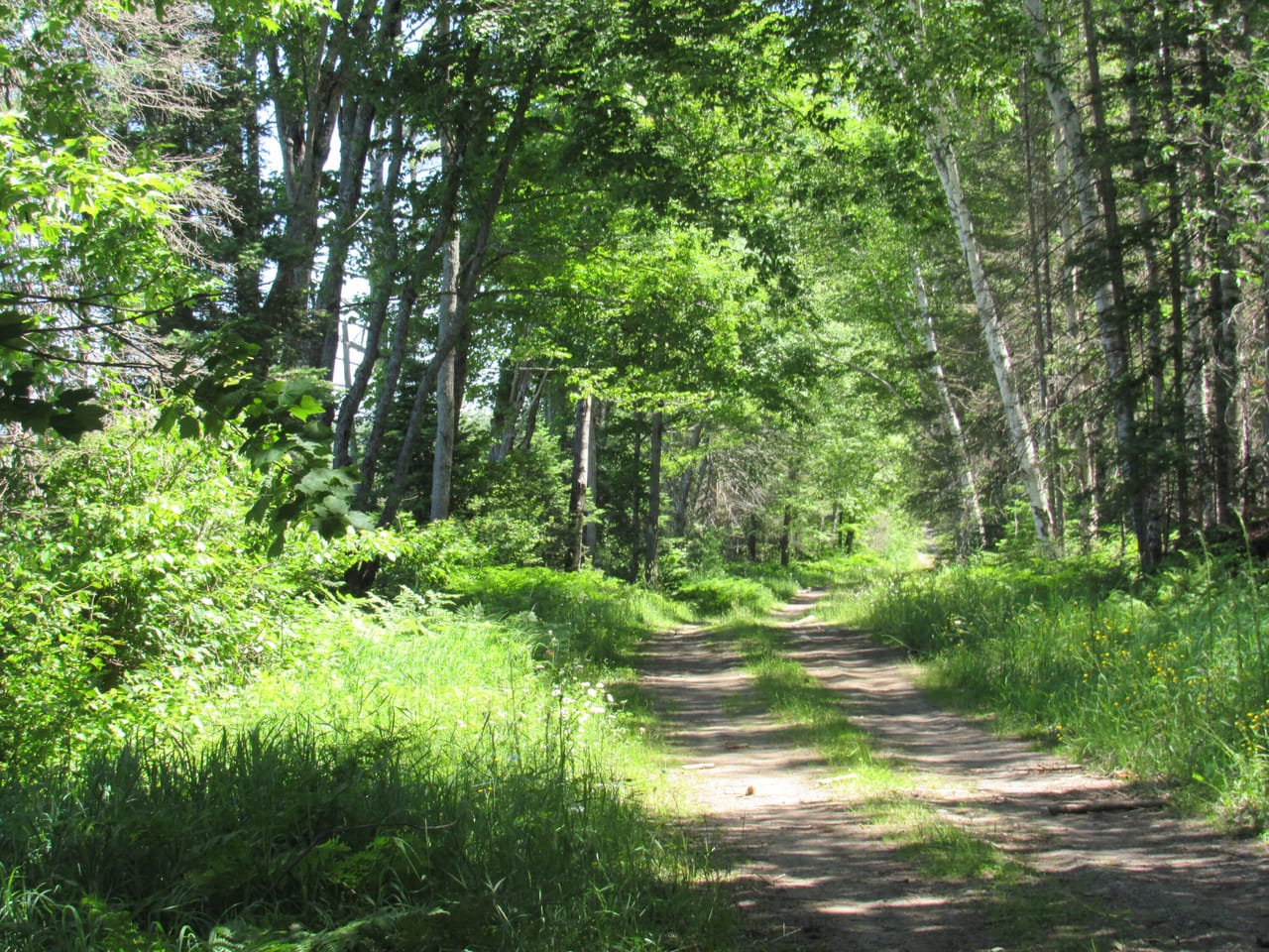 Beautiful 240 +/- Acre Parcel 50148315