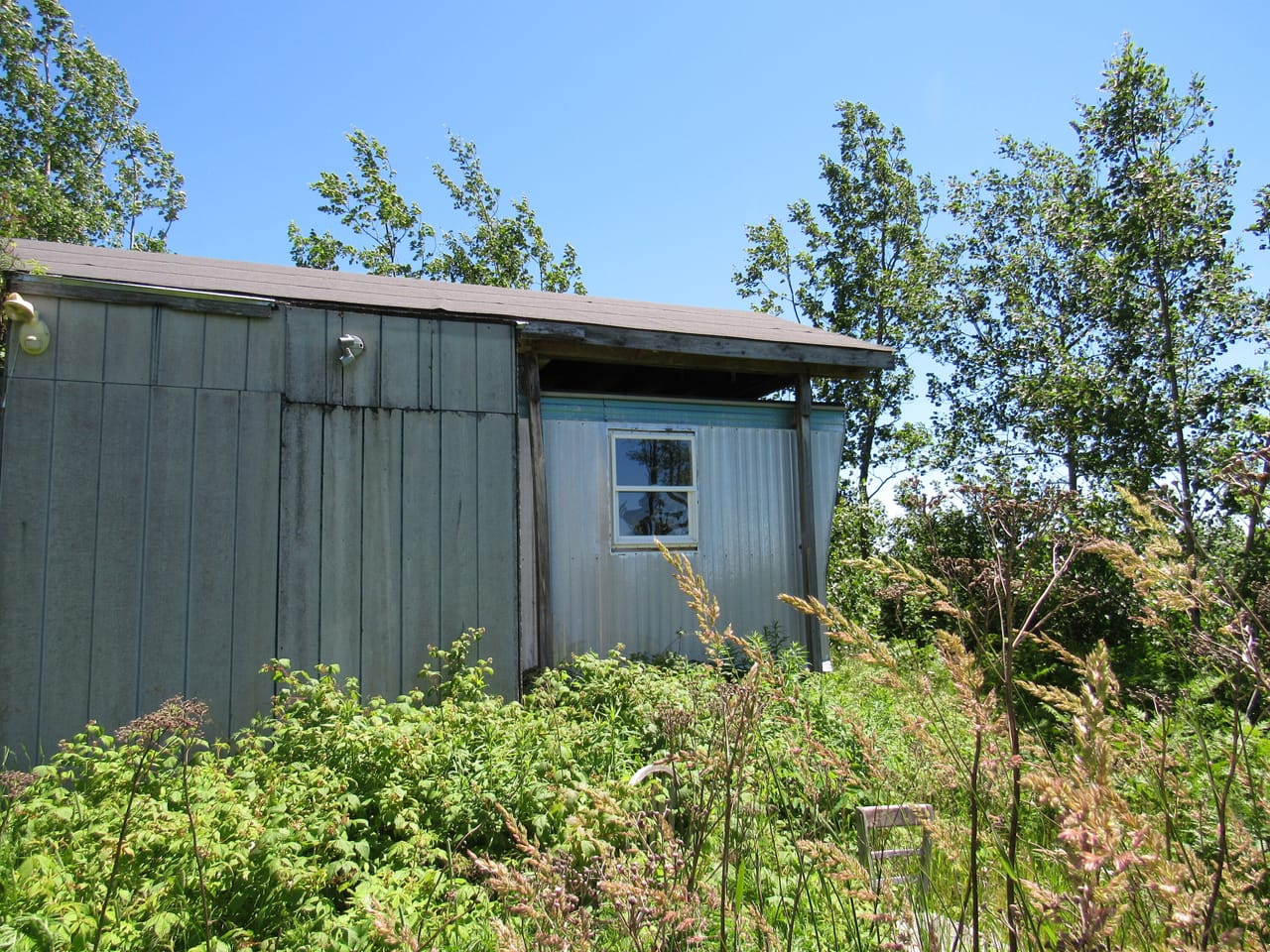 Beautiful 240 +/- Acre Parcel 50148315