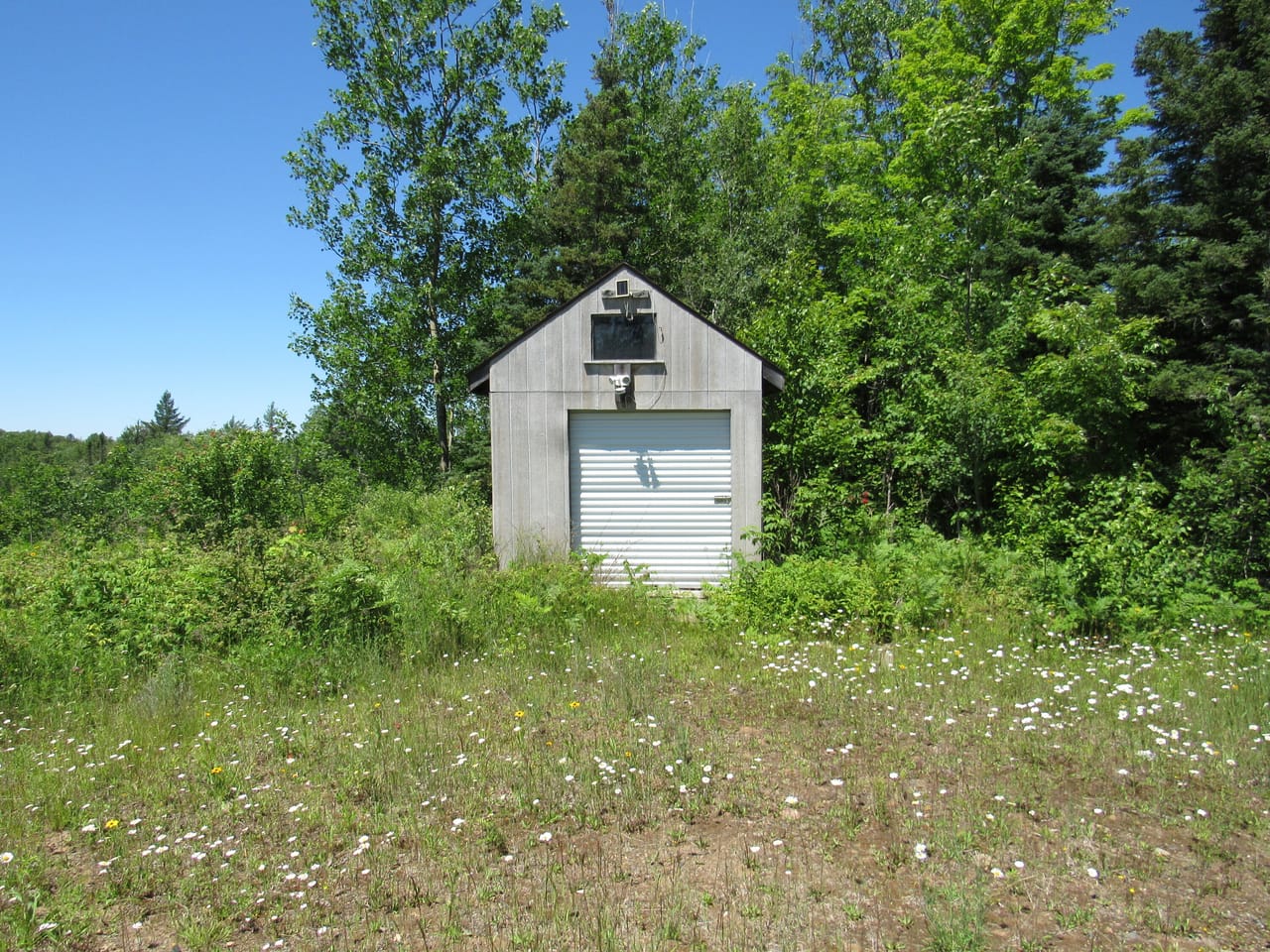 Beautiful 240 +/- Acre Parcel 50148315