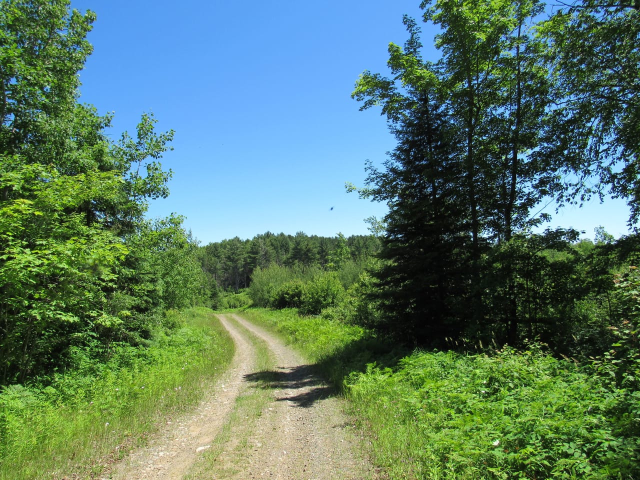 Beautiful 240 +/- Acre Parcel 50148315