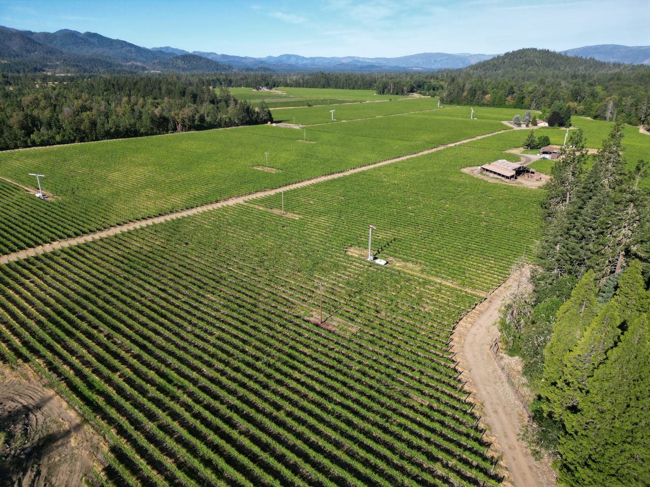 Listing Image 11