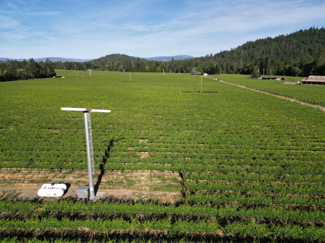 Listing Image 20