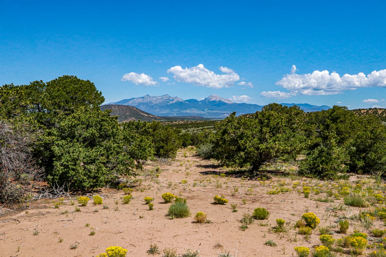 Listing Image 65