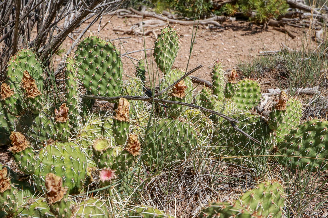 Listing Image 8
