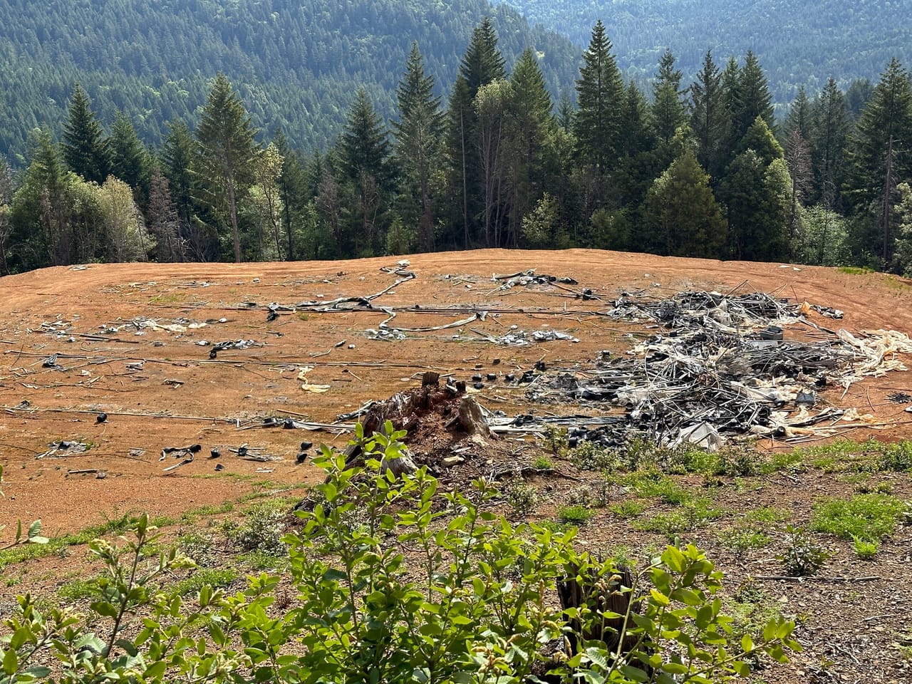 Listing Image 74