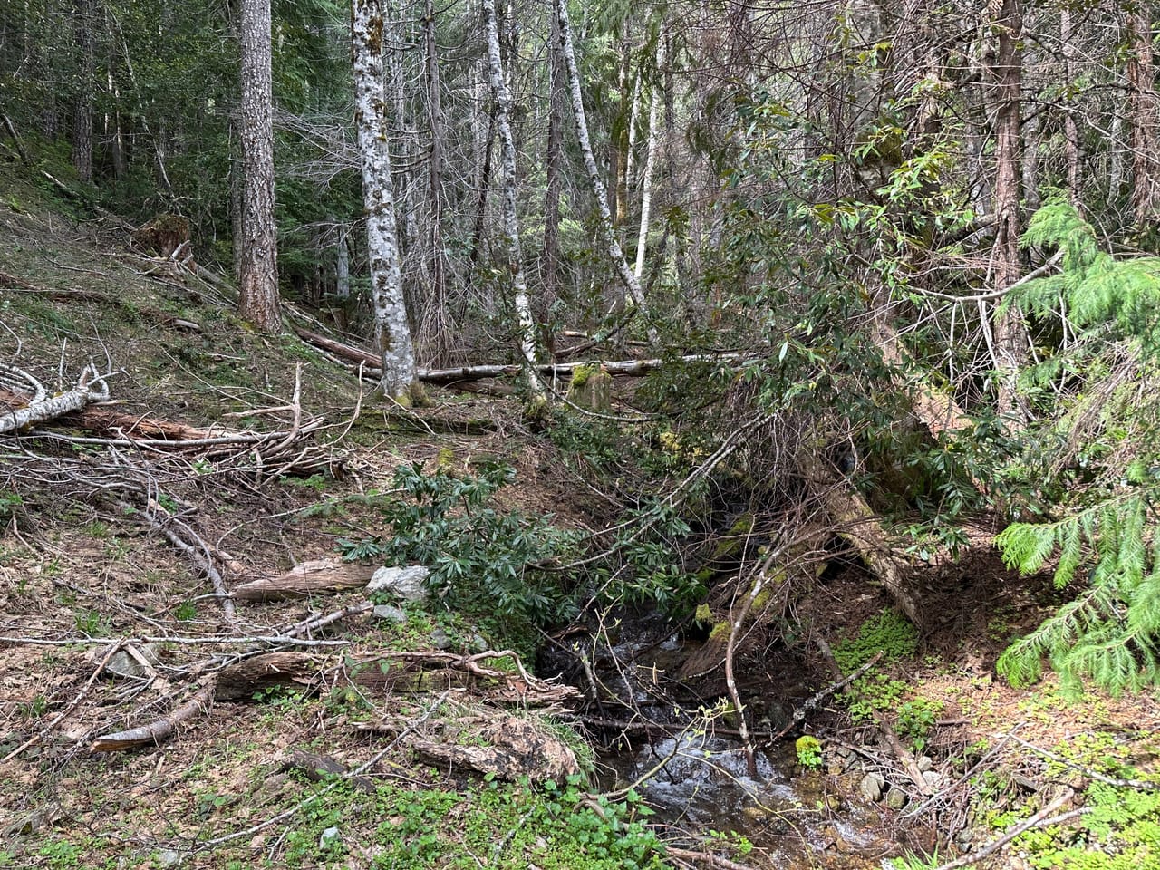 Listing Image 9