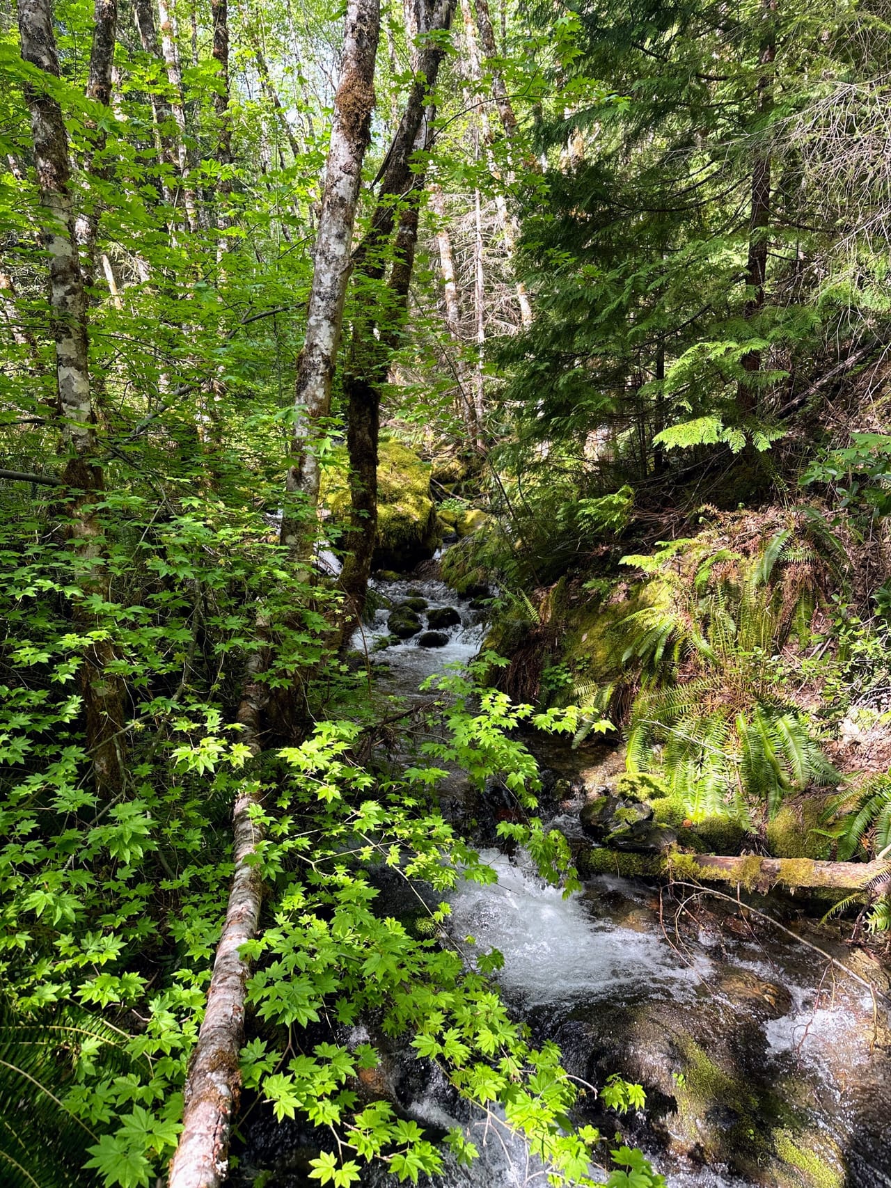 Listing Image 51