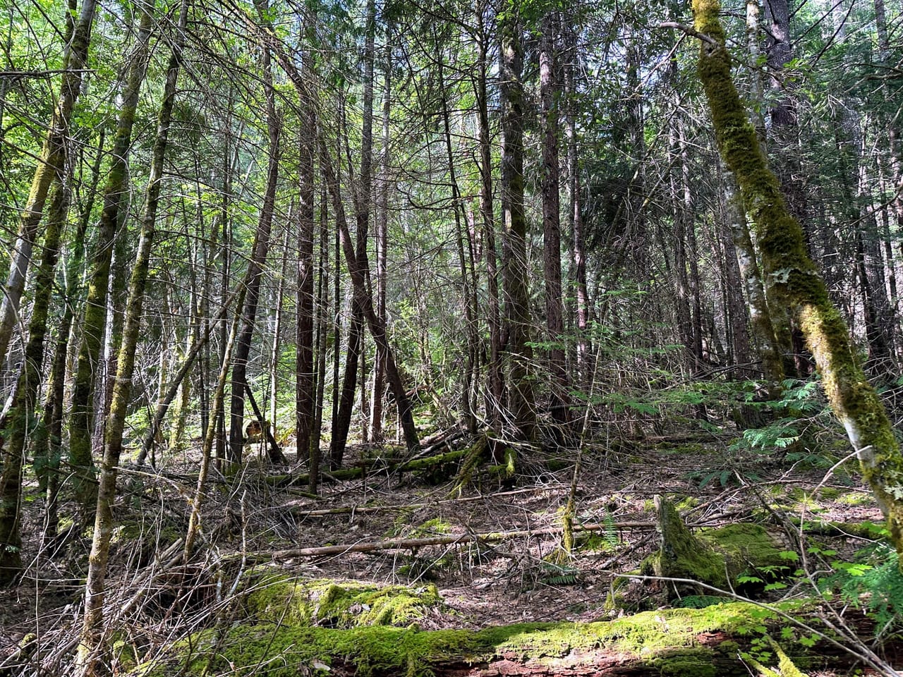 Listing Image 53