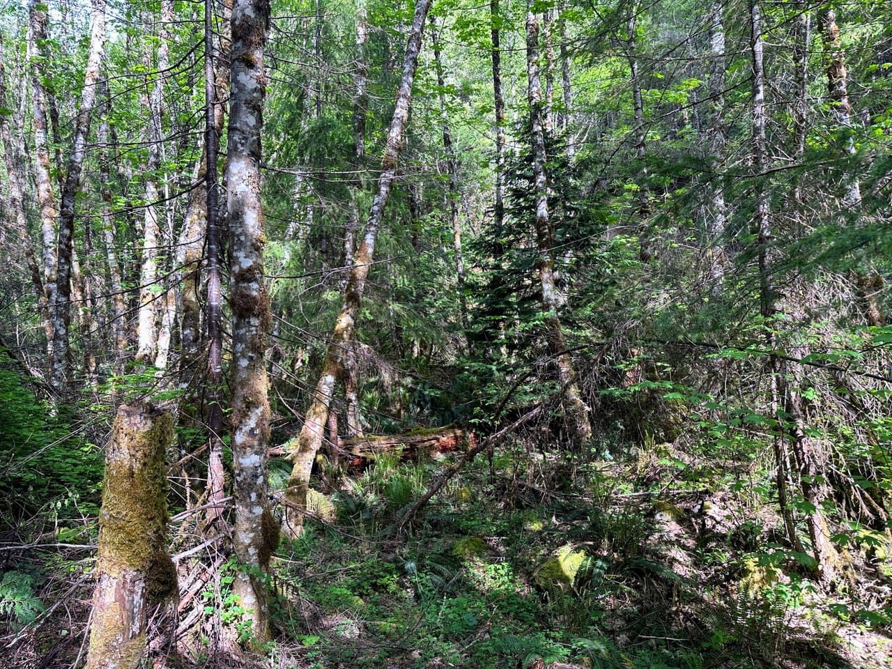 Listing Image 54