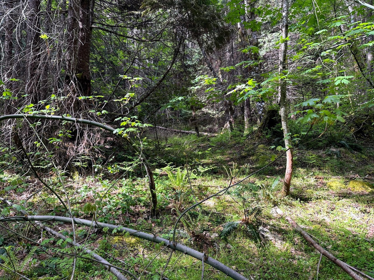 Listing Image 57