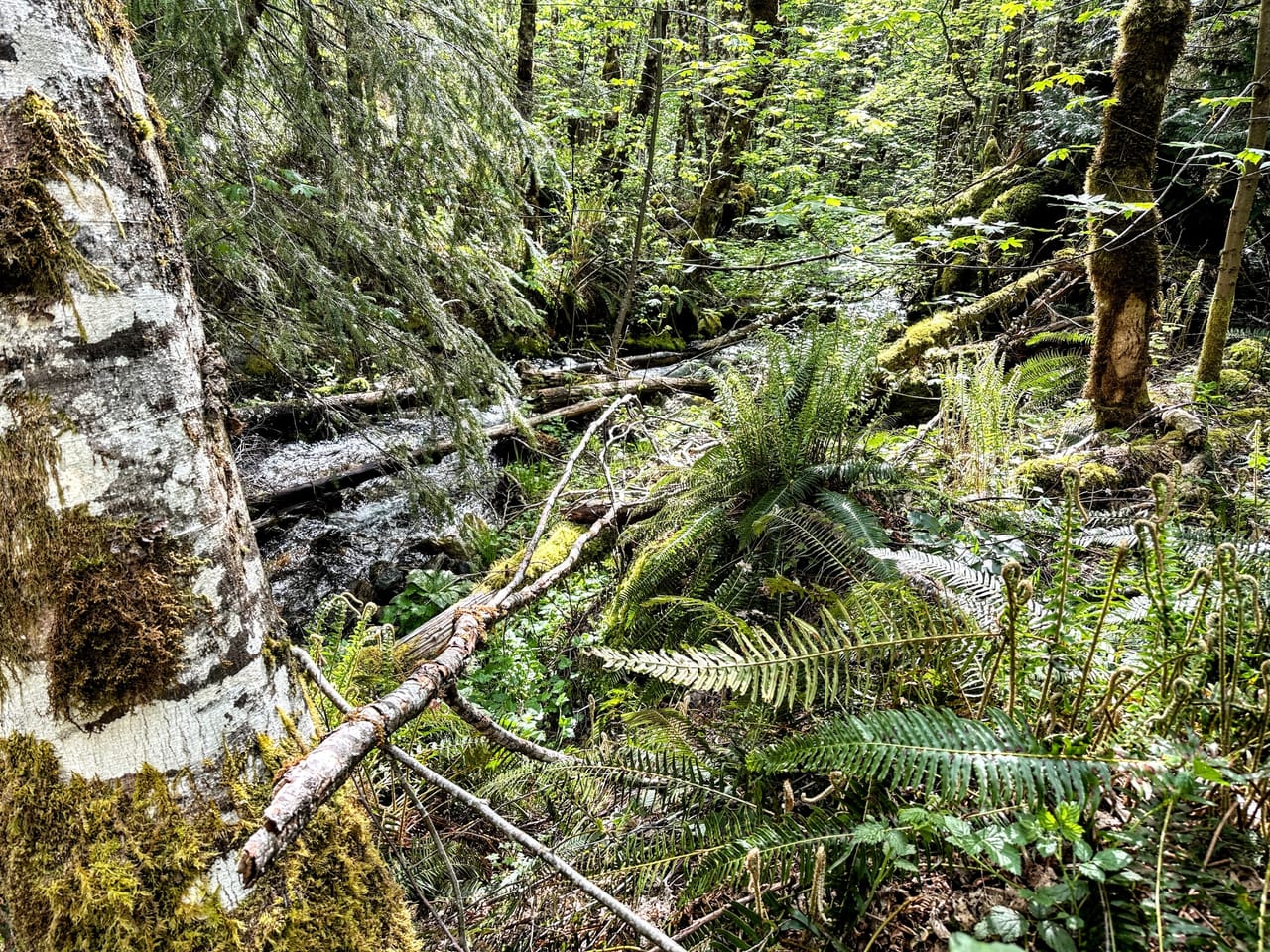 Listing Image 58