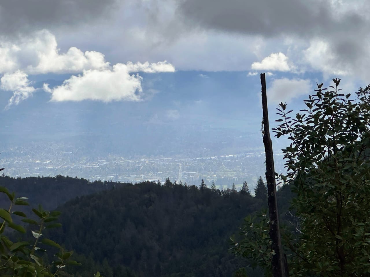 R Fork Forest Creek Road 160