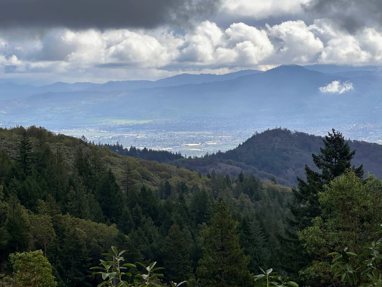 R Fork Forest Creek Road 160