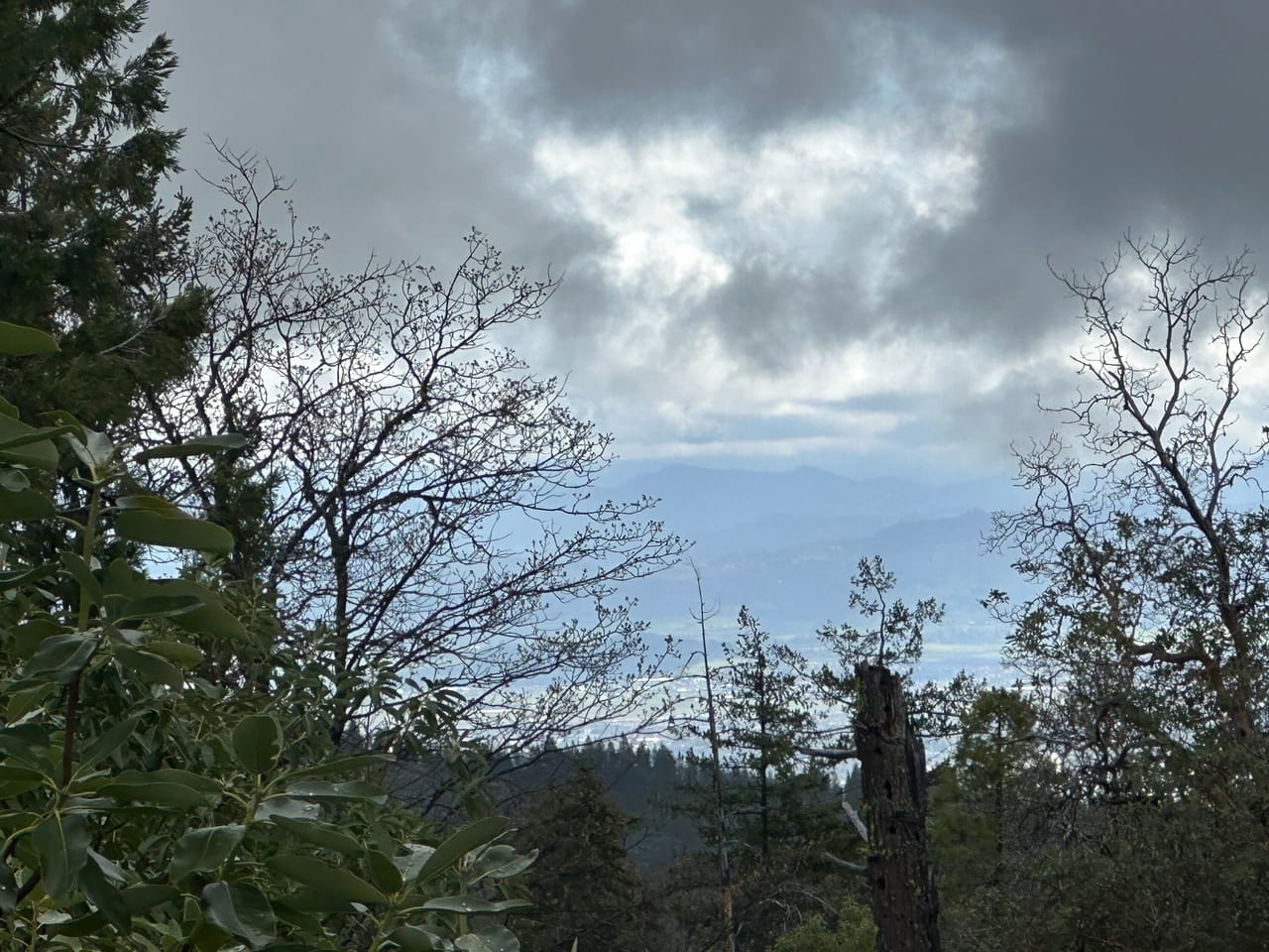 R Fork Forest Creek Road 160