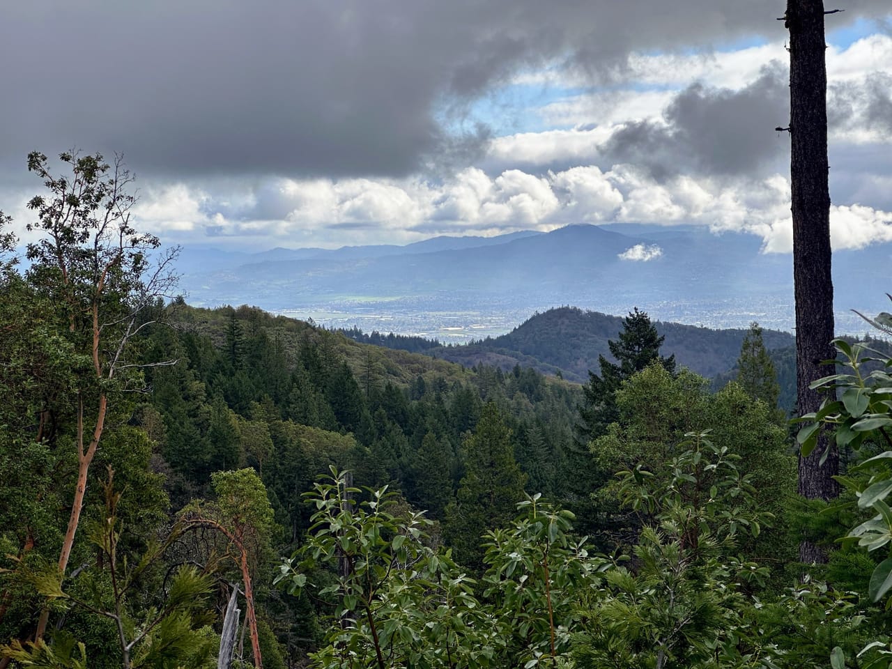 R Fork Forest Creek Road 160