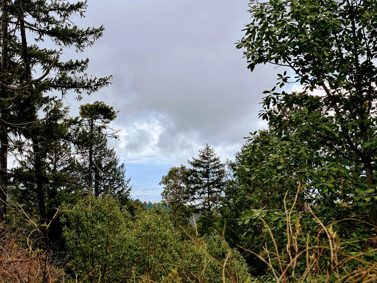 R Fork Forest Creek Road 160