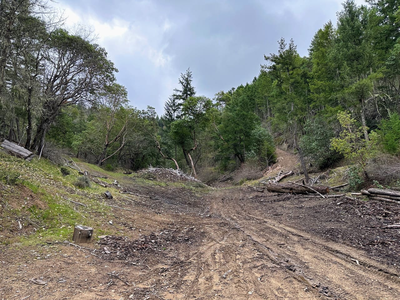 R Fork Forest Creek Road 160