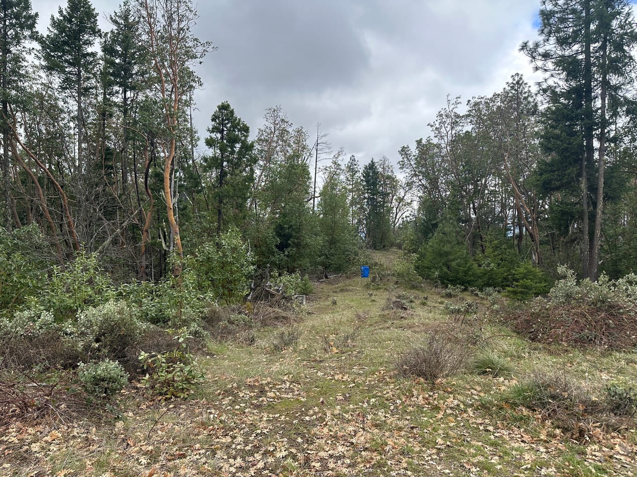 R Fork Forest Creek Road 160