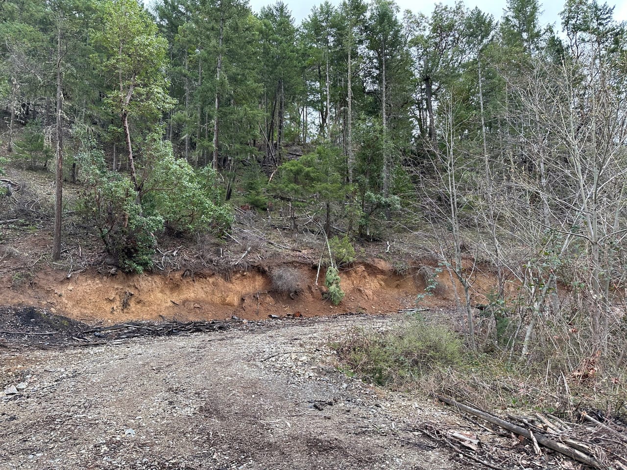 R Fork Forest Creek Road 160