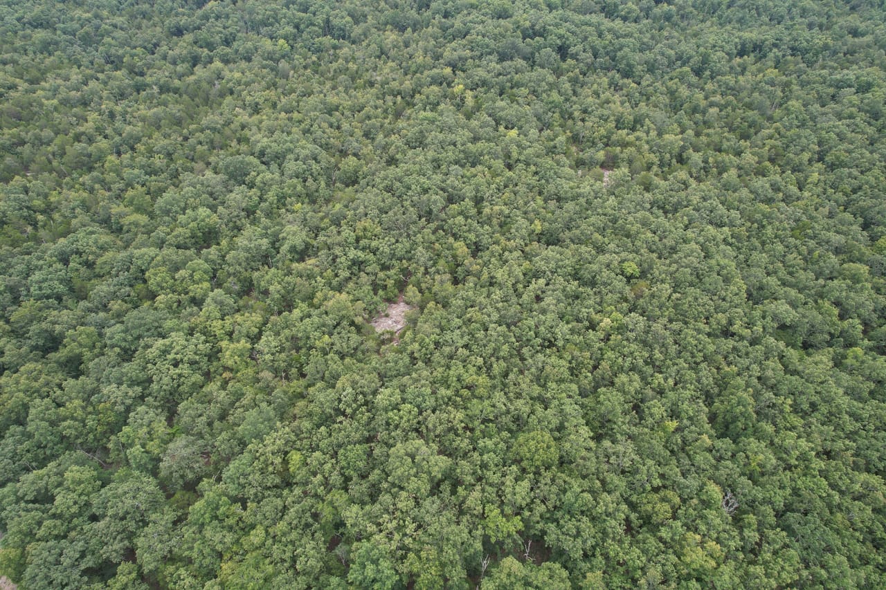 Listing Image 17