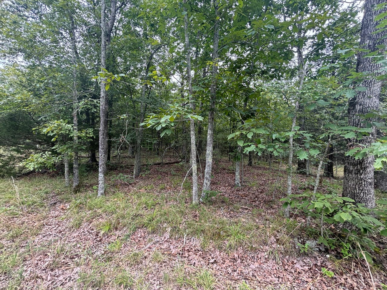 Listing Image 22