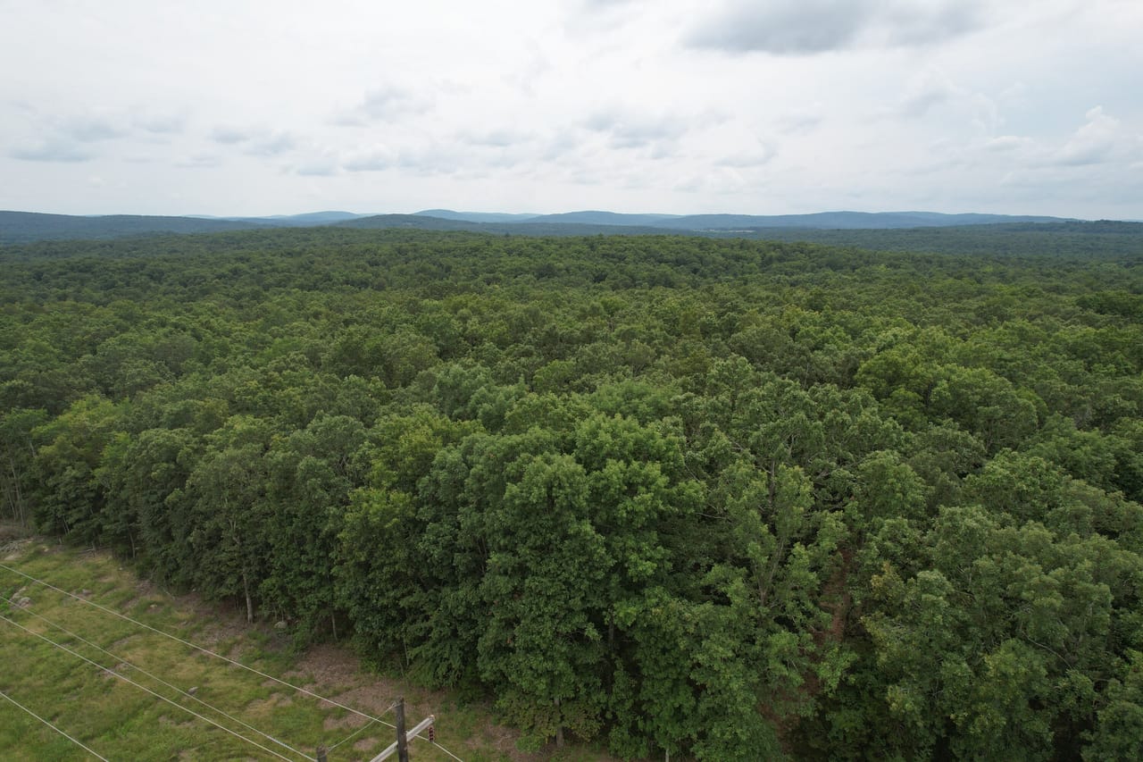 Listing Image 23