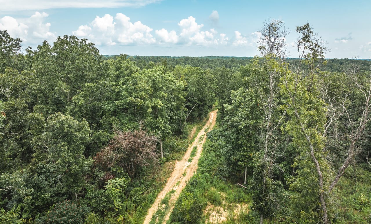 Listing Image 22