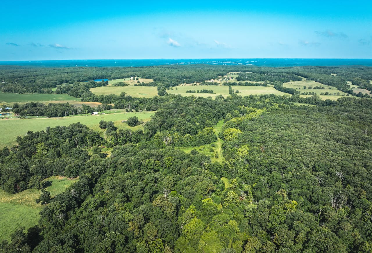 Listing Image 16