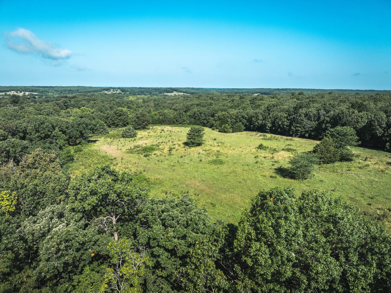 Listing Image 25