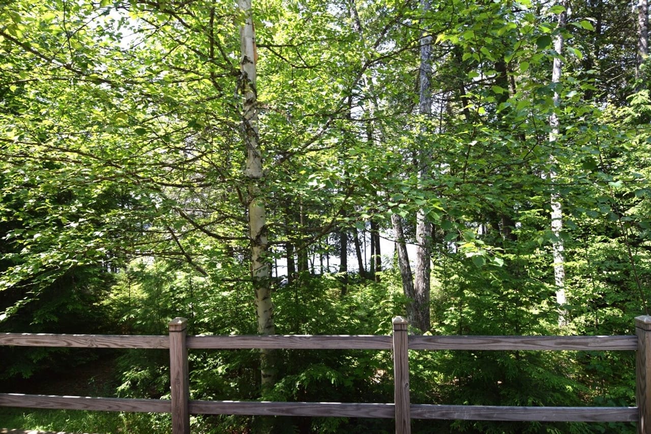 Listing Image 61