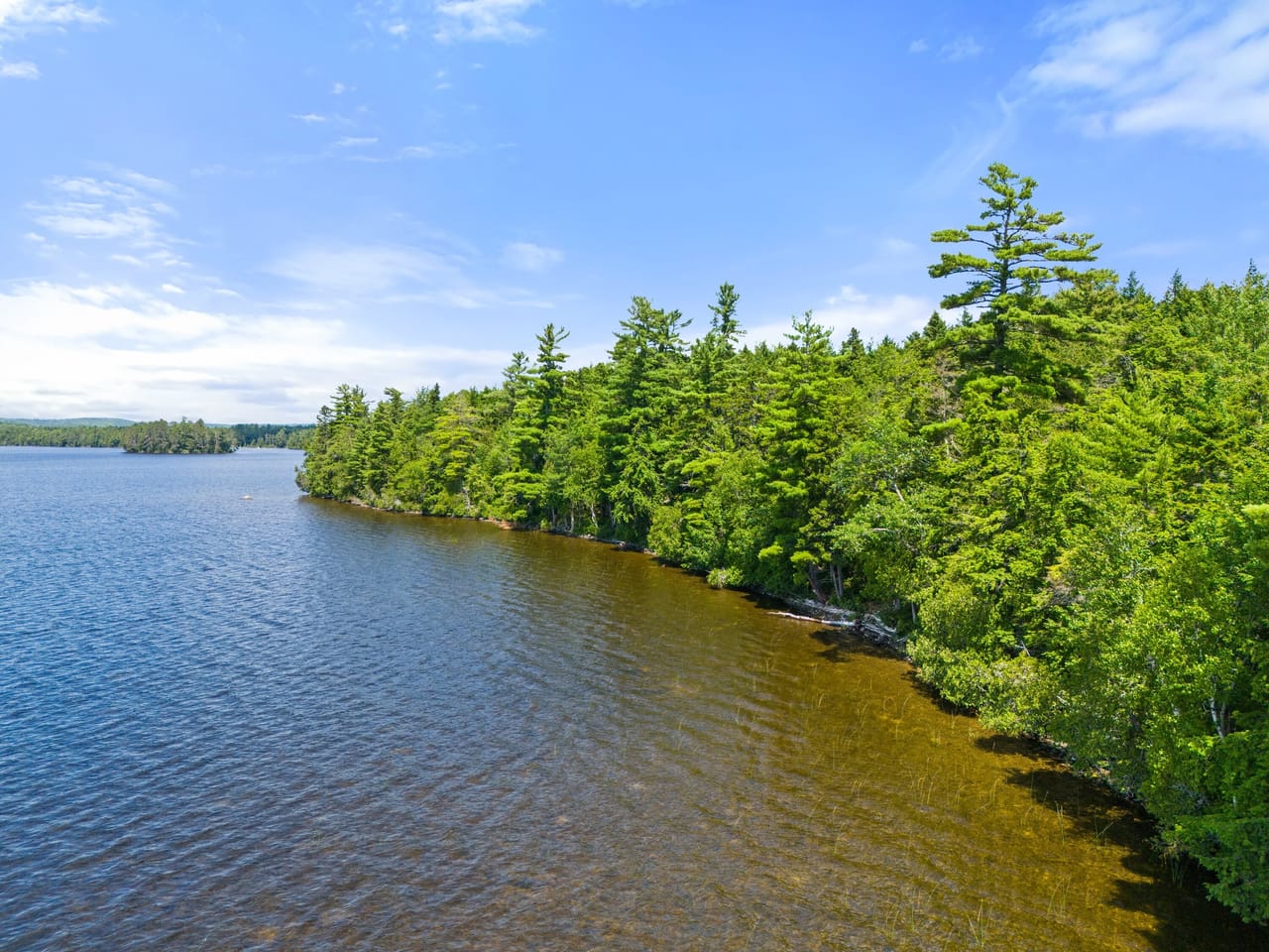 Listing Image 49