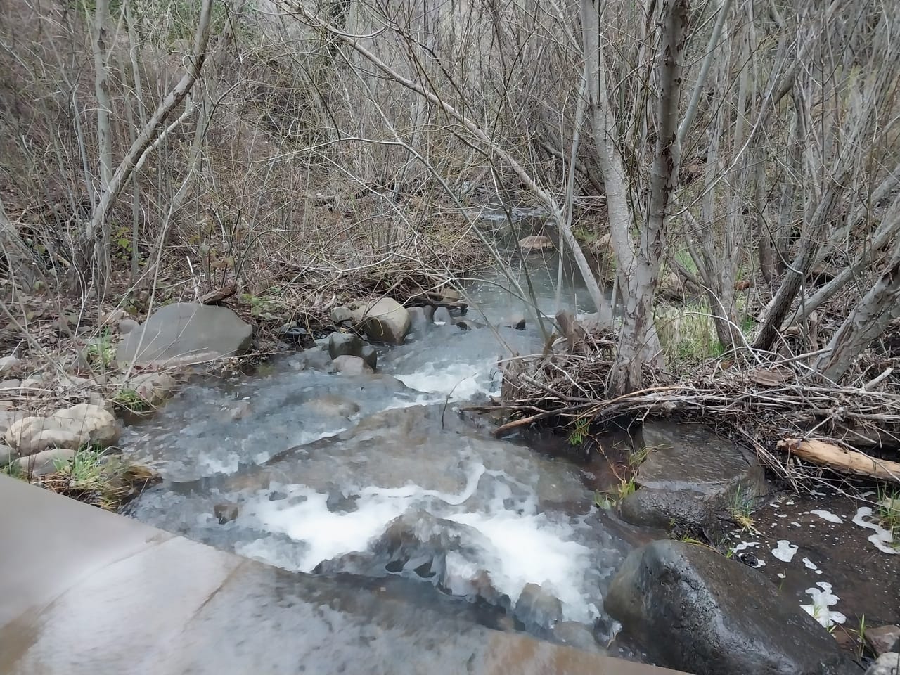 Listing Image 2