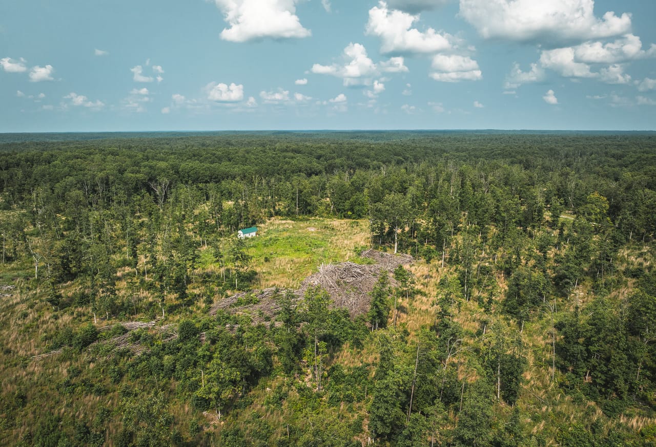 Listing Image 17