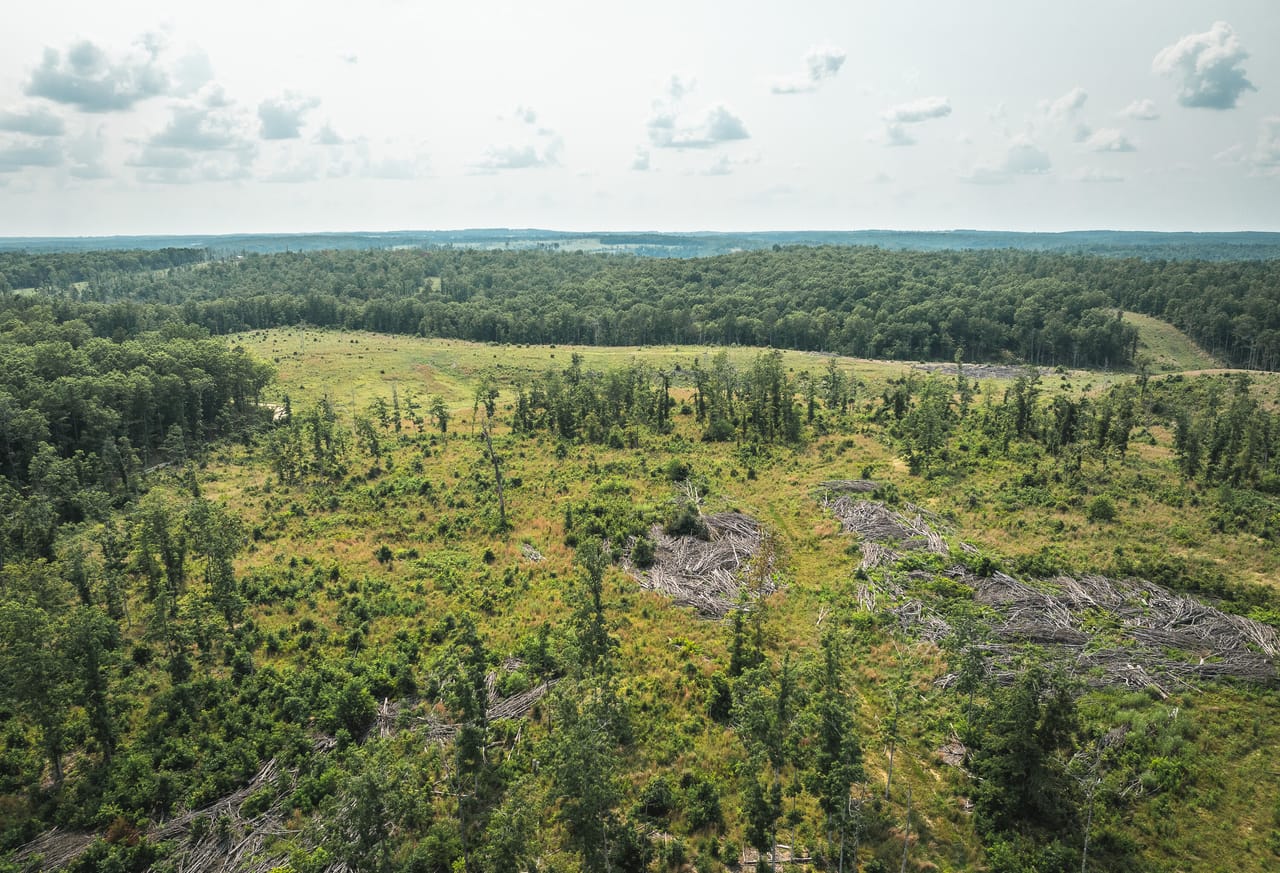 Listing Image 60
