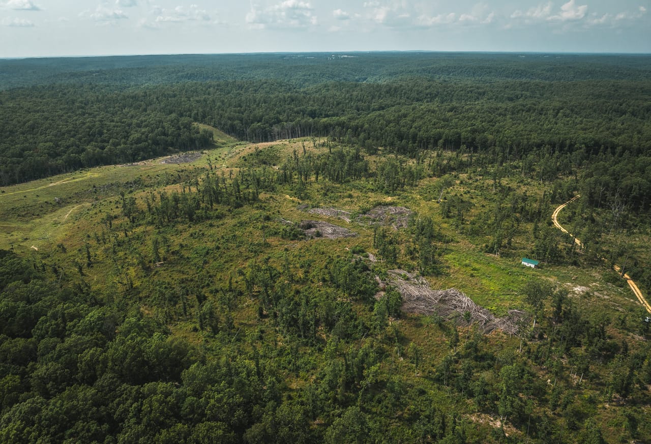 Listing Image 62