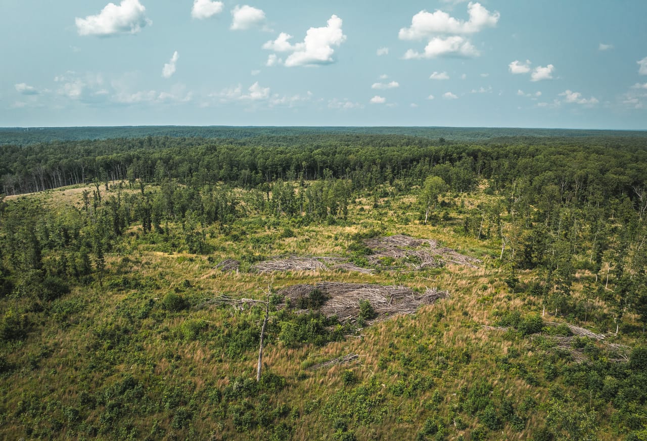 Listing Image 65