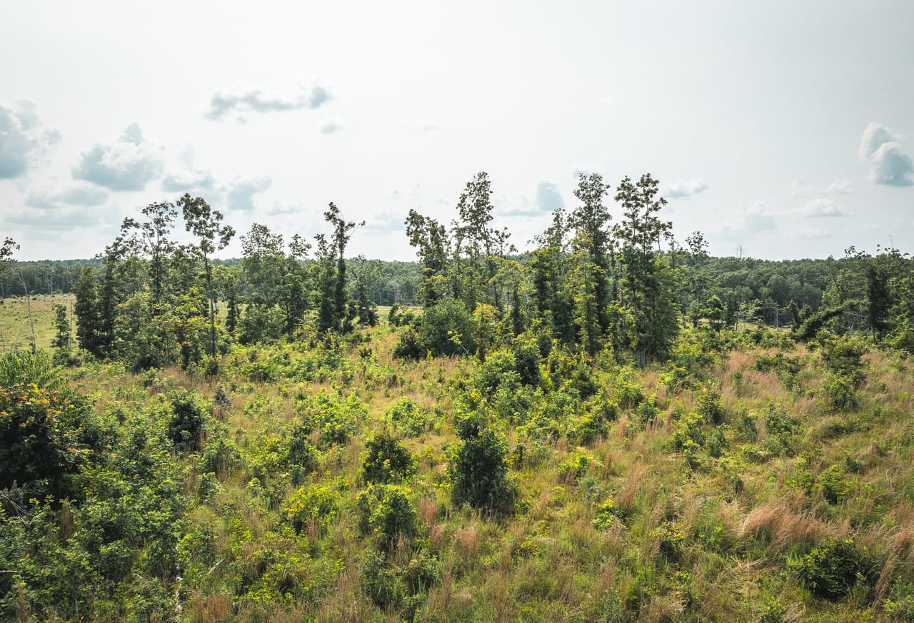 Listing Image 68