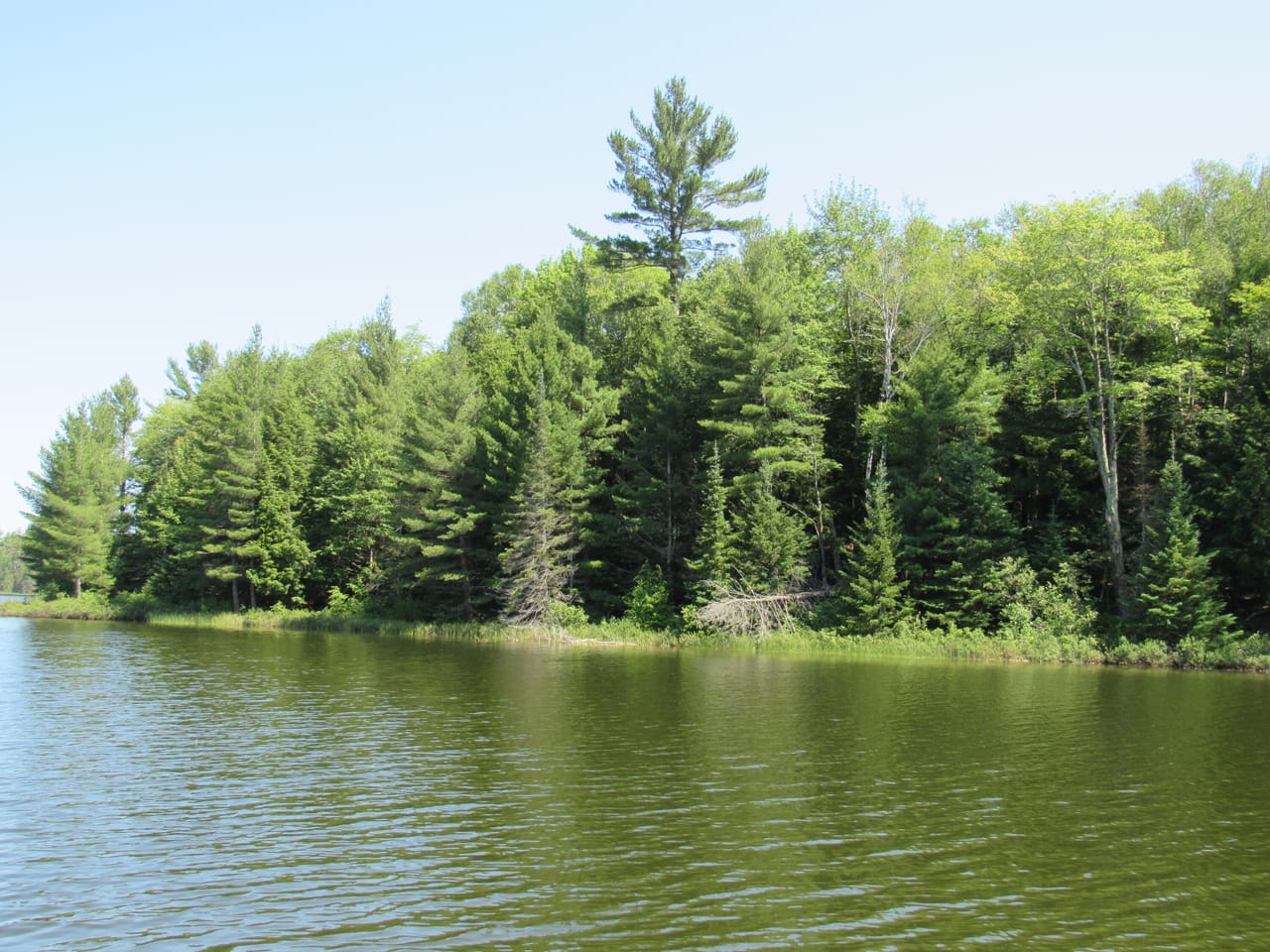 Listing Image 59