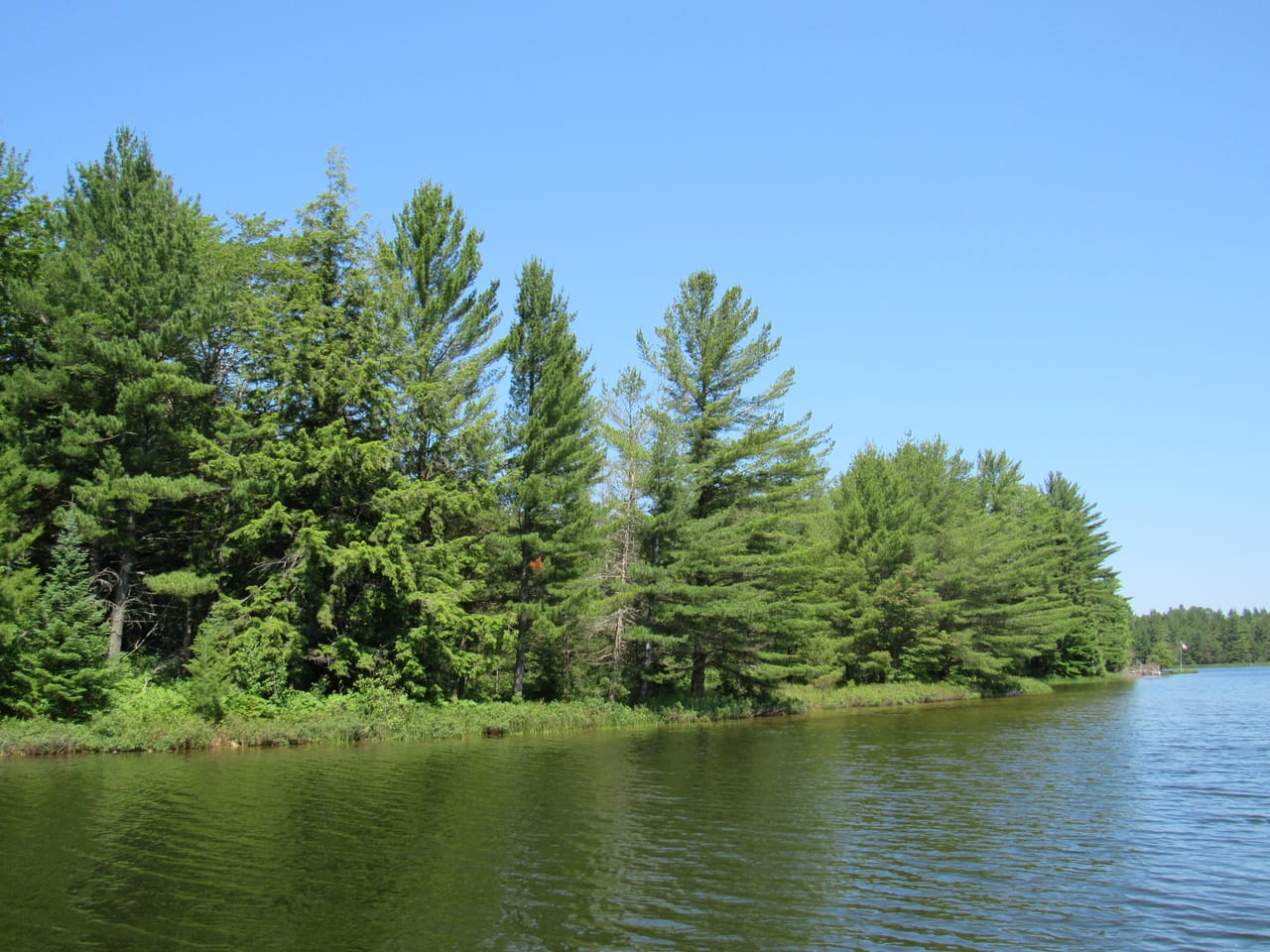 Listing Image 62
