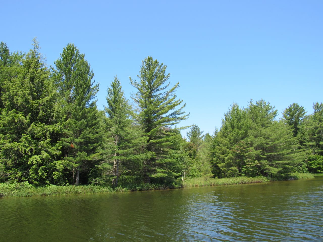 Listing Image 63