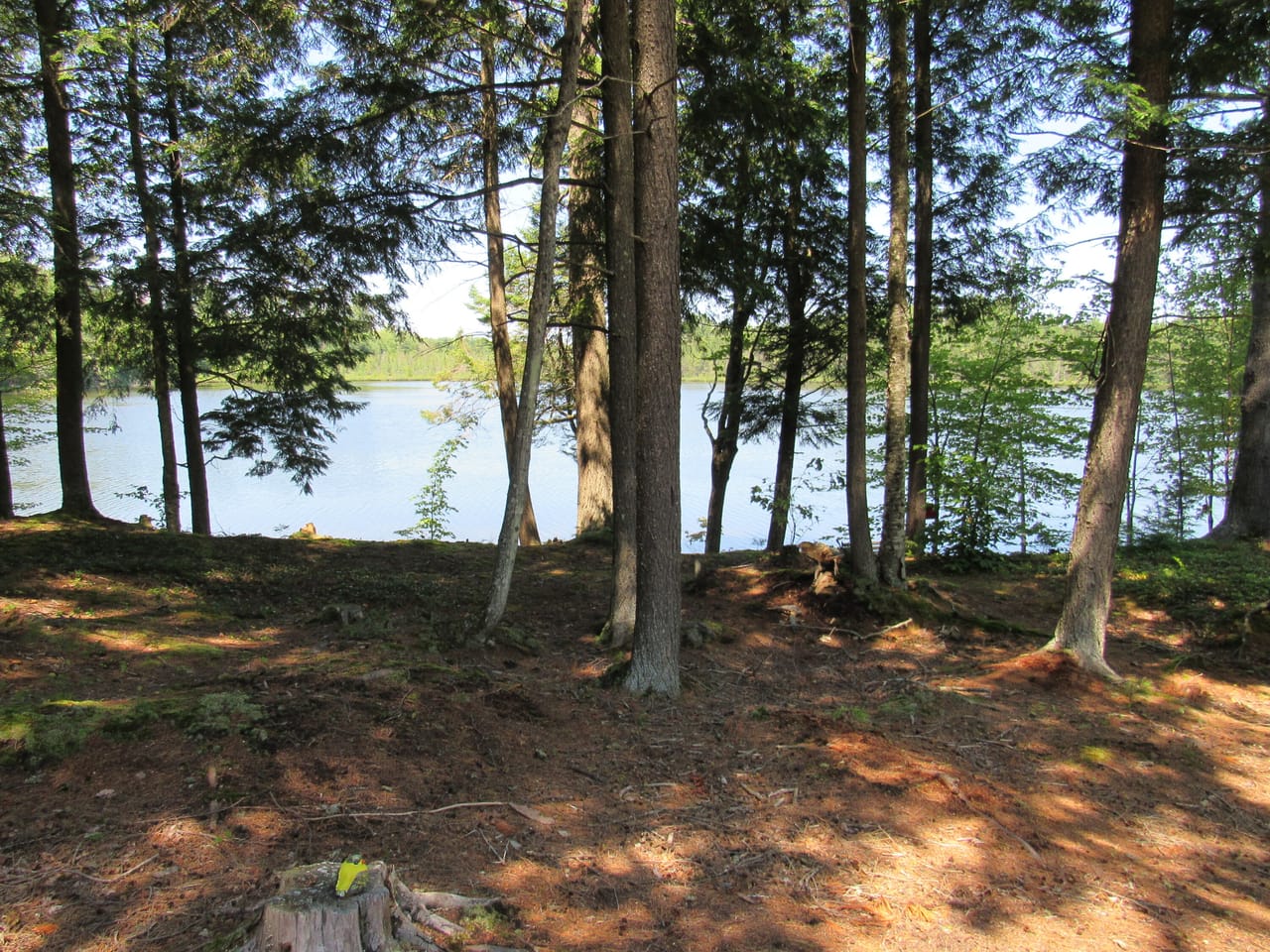 Listing Image 31