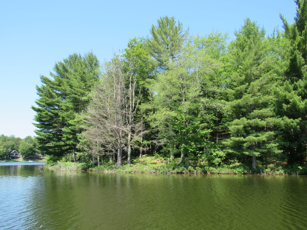 Listing Image 8