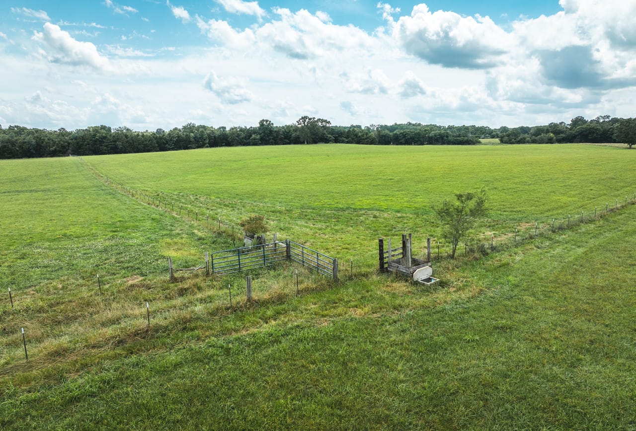 Listing Image 51