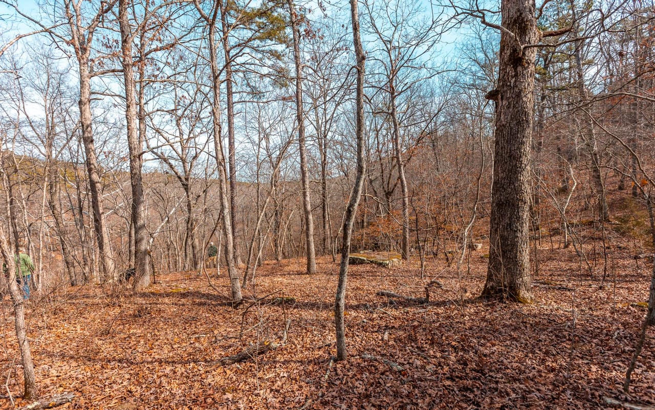 Listing Image 11