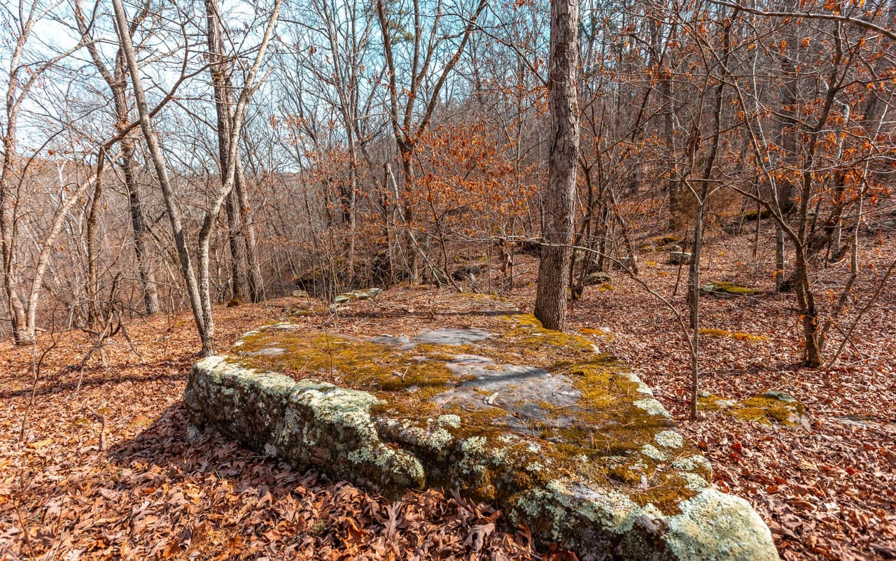 Listing Image 12