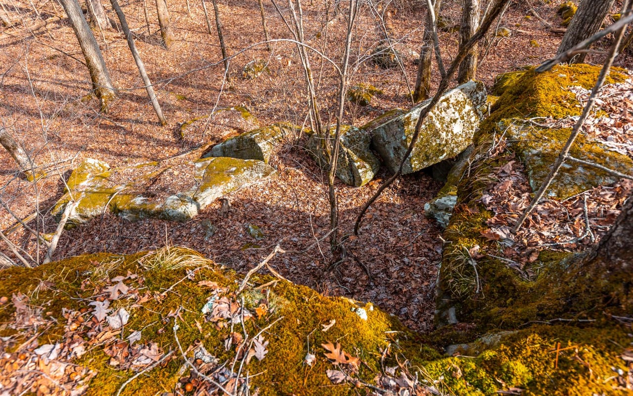 Listing Image 13