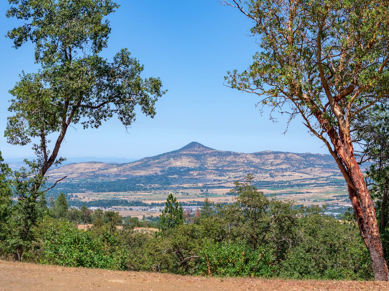 Listing Image 5