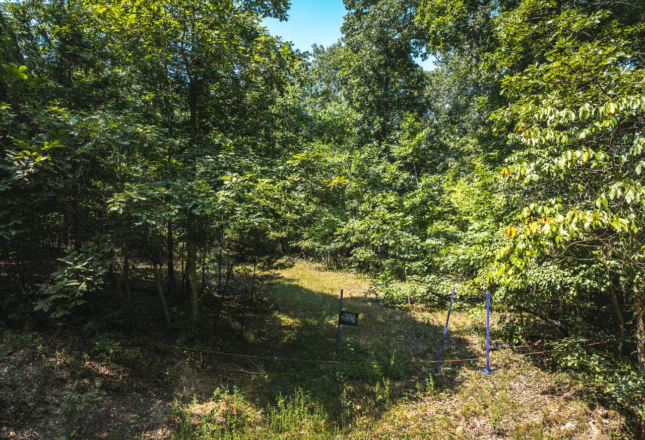 Listing Image 41