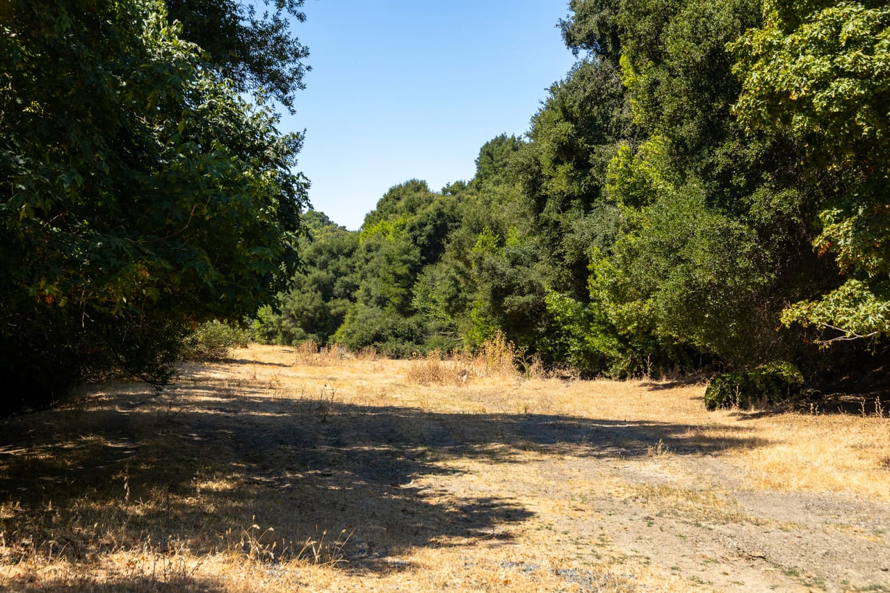 Listing Image 69