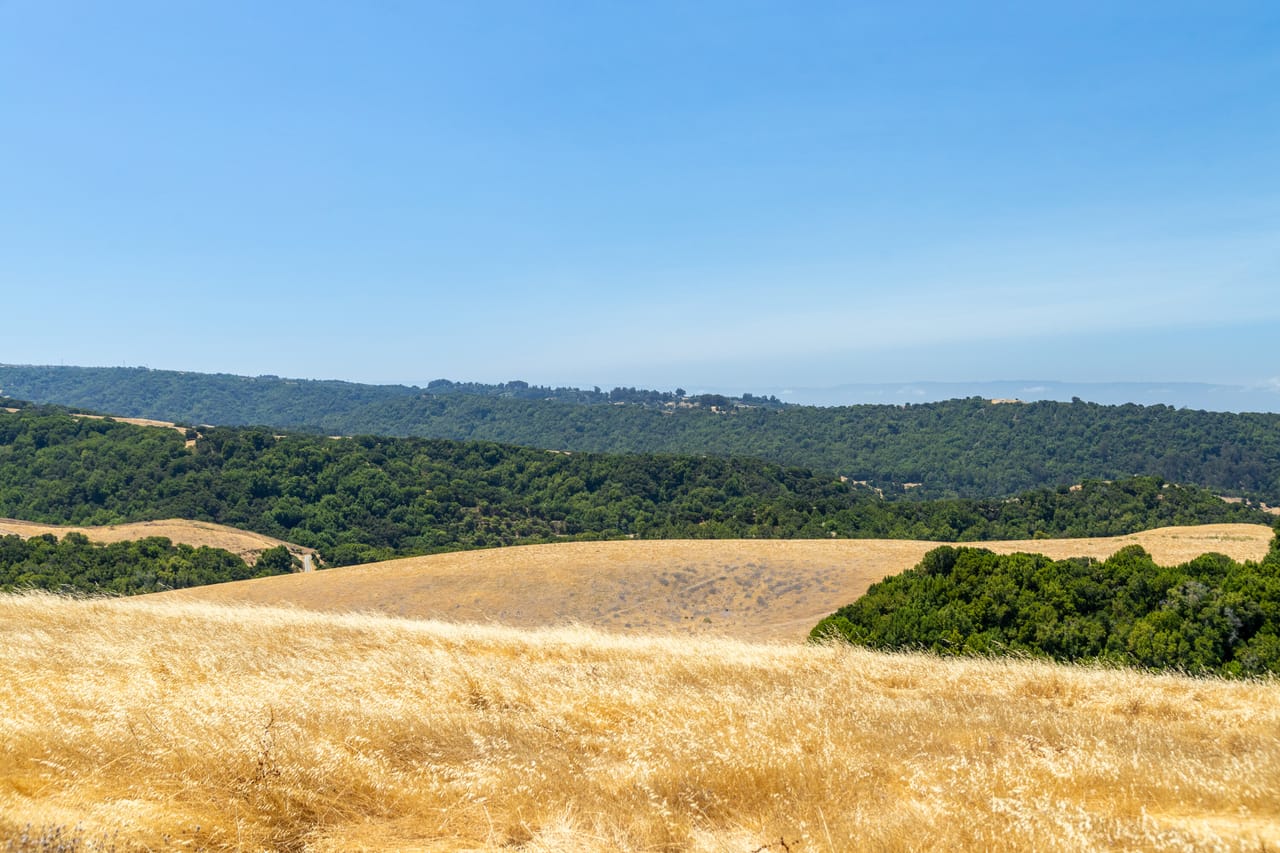Listing Image 59